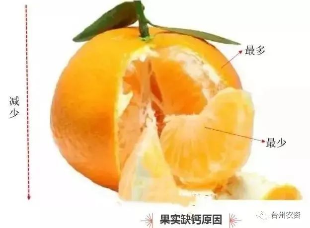 臺州農(nóng)資 臺州農(nóng)資