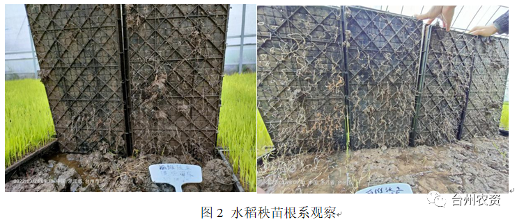 臺州農(nóng)資 臺州農(nóng)資