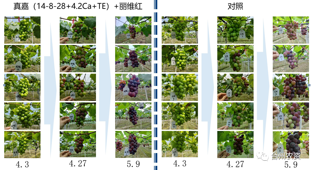 臺州農(nóng)資 臺州農(nóng)資