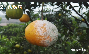 1675672462571031.png 640 (61).png